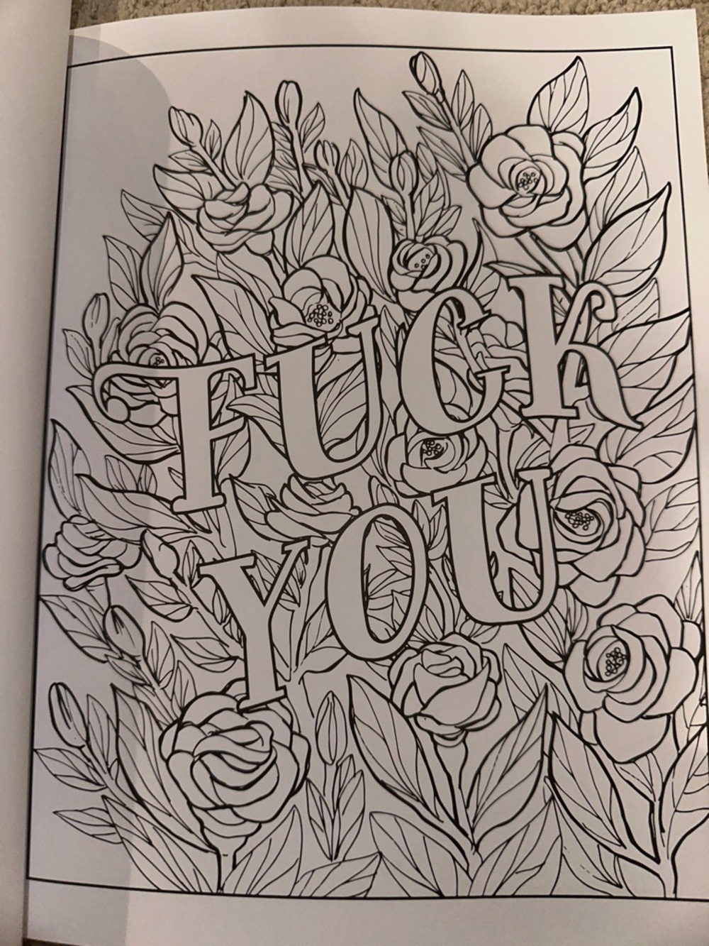🆕 Swear Word Coloring Book - Picture 4 of 6
